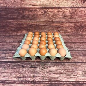 Tray of Eggs